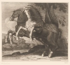 föda upp hästar Chevaux Tartare (titel på objekt) Djurserie (serietitel)