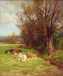 Betande boskap