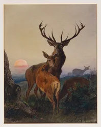 En hjort med rådjur i ett skogslandskap vid solnedgången, 1865