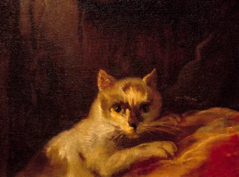 Mademoiselle de Charolais Detalj som representerar katten. Målning av Charles Joseph Natoire (Charles-Joseph Natoire