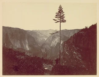 Yosemite Valley från Mariposa Trail, ca. 1865.