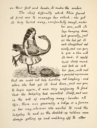 Alice holding her Ostrich, illustration from Alices Adventures Under Ground, pub. 1886 (facsimile)
