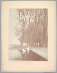 Landskapssvit: Landskap, tavla 6, anteckning, liljor, 1892-1893.