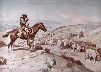 Cattle Drive