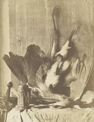 Game Still Life, ca 1853-55 (albuminiserat saltat papperstryck)