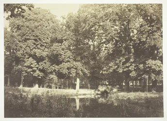 Utan titel, c. 1850. [Träd nära vatten i Bois de Boulogne, en park i Paris].