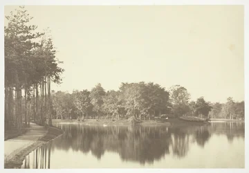 Utan titel, c. 1850. [Träd nära vatten i Bois de Boulogne, en park i Paris].