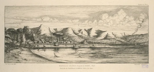 Banks halvön, spets som kallas Charbonniers, i Akaroa, notfiske, illustration från 