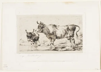 Cow and Ass