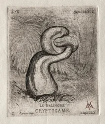 The Sickly Cryptogam, 1860.