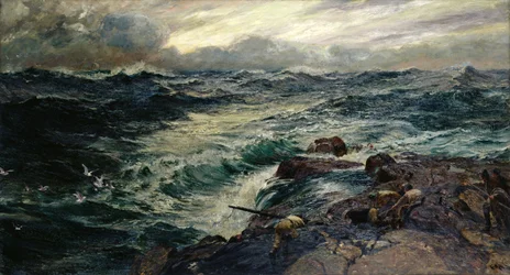 Rovfåglar