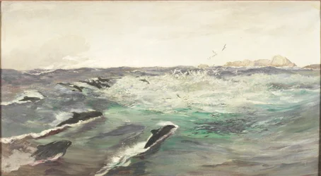 Tumlare som jagar makrill