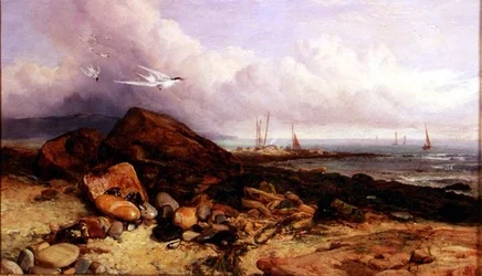 Strandscen med fiskebåt och tärnor