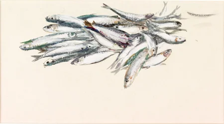 Fiskstudie (akvarell och bodycolour på papper)