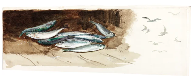 Studie av fisk (kroppsfärg och akvarell på papper)