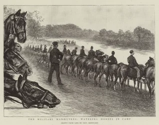 Militära manövrar, vattna hästar i lägret