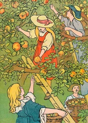 Plocka frukten, 1912