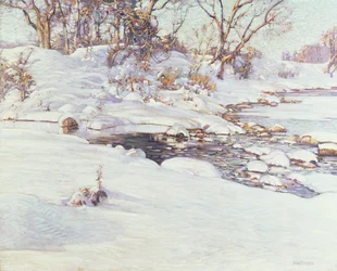Vintersolsken
