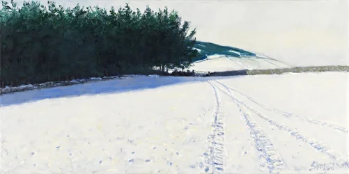 Dark Trees  Snow, 2011 (olja på duk)