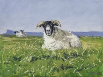 West Coast Sheep, 2017 (olja på duk)