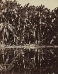 Tetiaroa - A Paumotu Lagoon, 1880- eller 1890-tal.