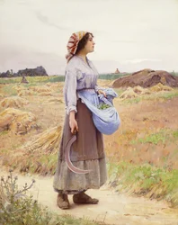 Färska plockningar,