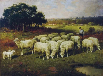 En herde med sina får ute på fältet, 1898