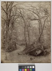 Fontainebleau, ca 1870 (albumintryck)