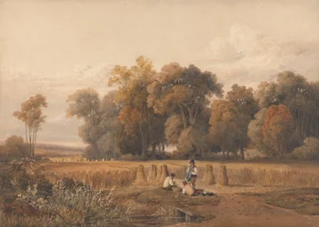 Skörd - Middagsvilan