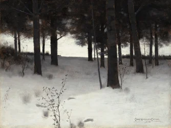 Skogen på vintern