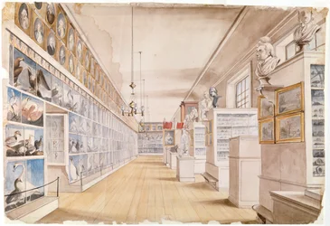 The Long Room, Interiör av Front Room i Peales Museum, 1822 (wc över grafit på papper)