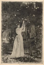En ung kvinna som plockar blommor från ett träd