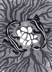 Krokodilägg, 2021