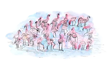 Flamingos 2, 2018 (bläck och akvarell)