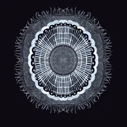 Plant Cell 0.2, 2019 (penna och bläck)