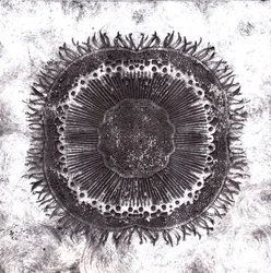 Plant Cells, 2019 (torrpunktsetsning)
