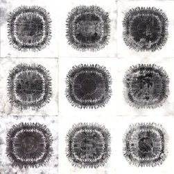 Plant Cells, 2019 (torrpunktsetsning)