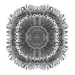 Plant Cells, 2019 (penna och bläck)