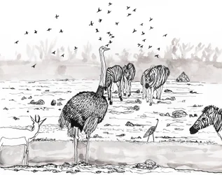 Safari 2, 2018 (bläck och akvarell)