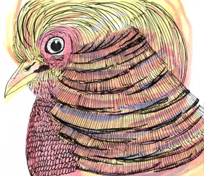 Tropical Bird, 2018 (penna, bläck och akvarell)