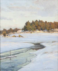 swedish