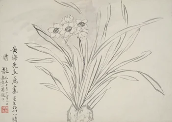 Album av blommor