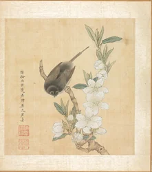 Målningar efter antika mästare: A Bird and Peach-Blossom Branch