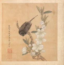 Målningar efter antika mästare: A Bird and Peach-Blossom Branch, albumblad