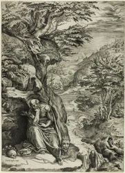 Saint Hieronymus i öknen