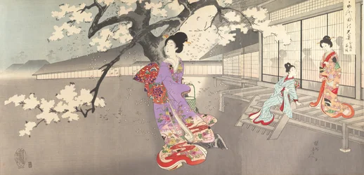 Chiyoda Castle Album of Women, 1895., 1895.