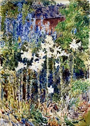 En blomsterträdgård
