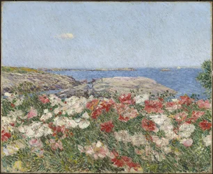 Vallmo på Isles of Shoals