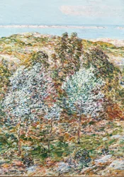 Vårsyn