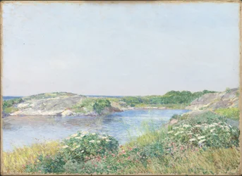 Den lilla dammen, Appledore